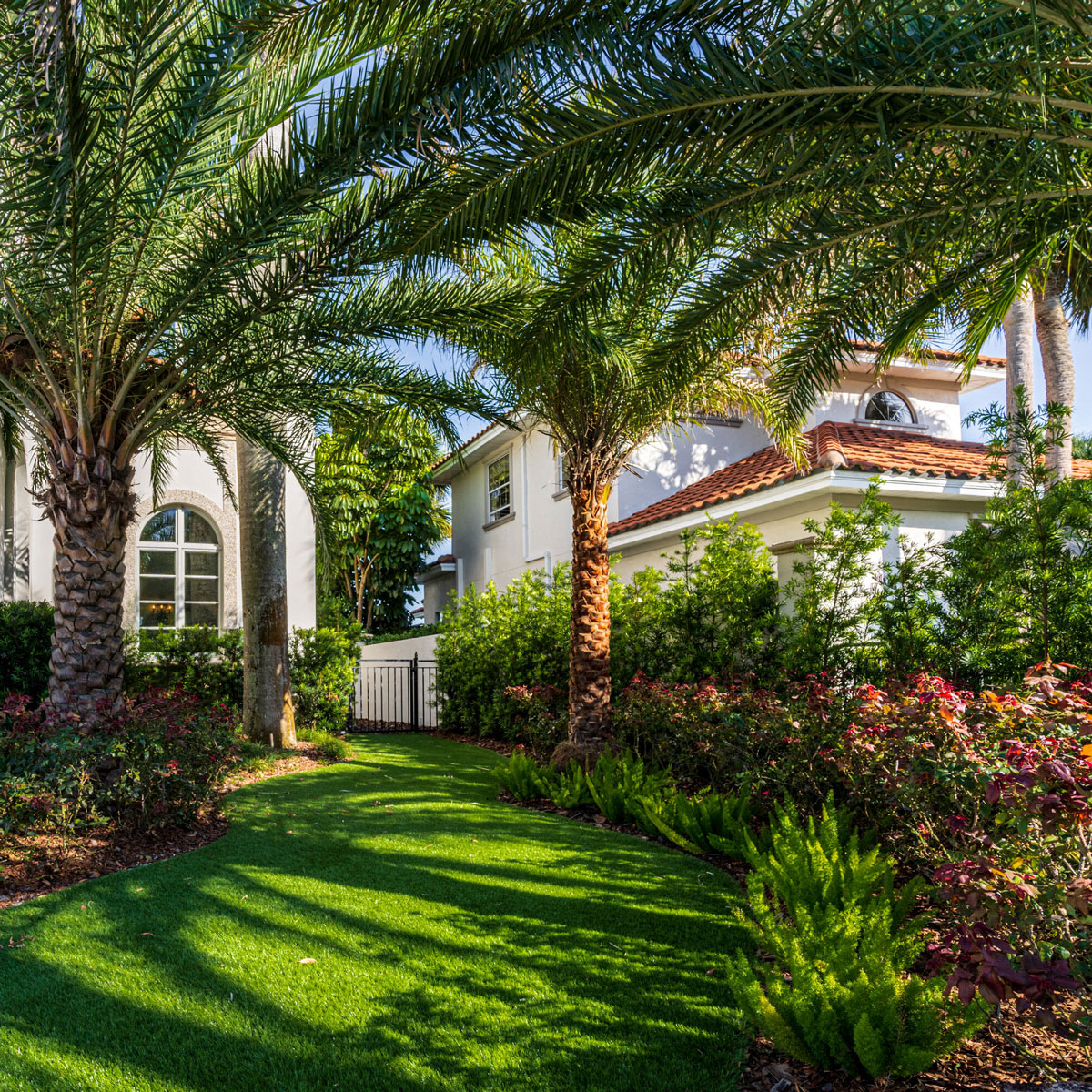 Custom Landscape contractors in Cheval FL