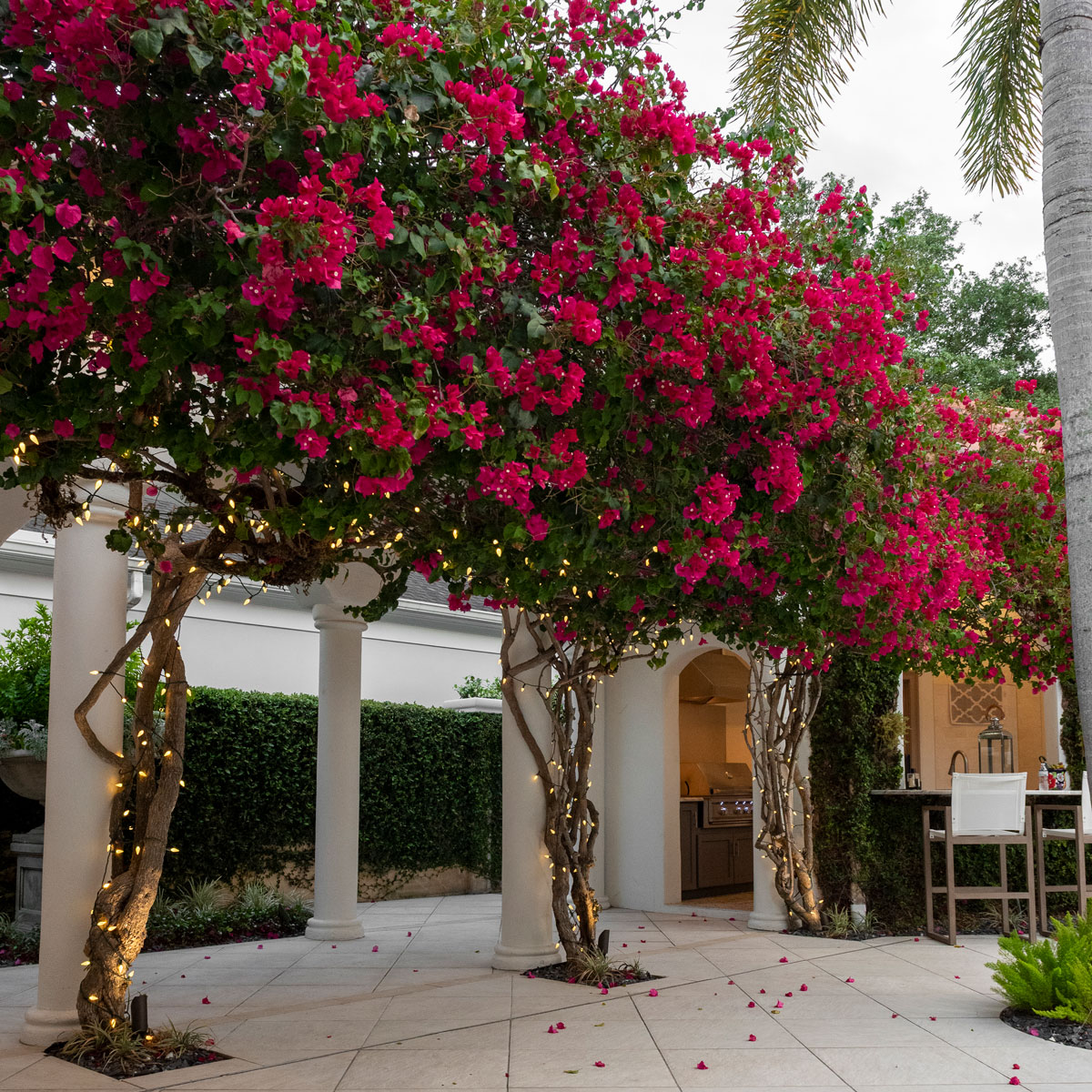 Landscaping for custom outdoor living projects in Lutz, FL