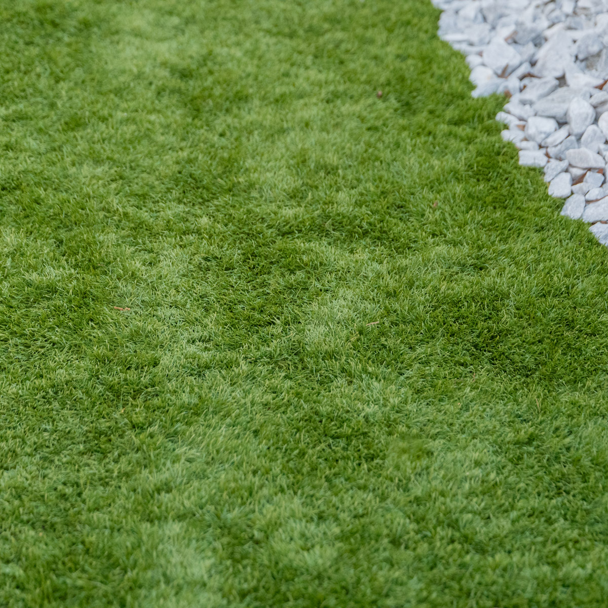 Custom outdoor spaces with artificial turf in Cheval, FL